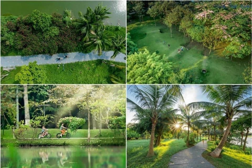 Cảnh quan tại Ecopark Village Saigon